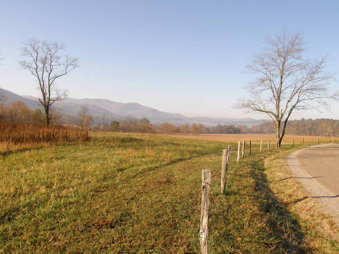 Gregory Bald Day Hike