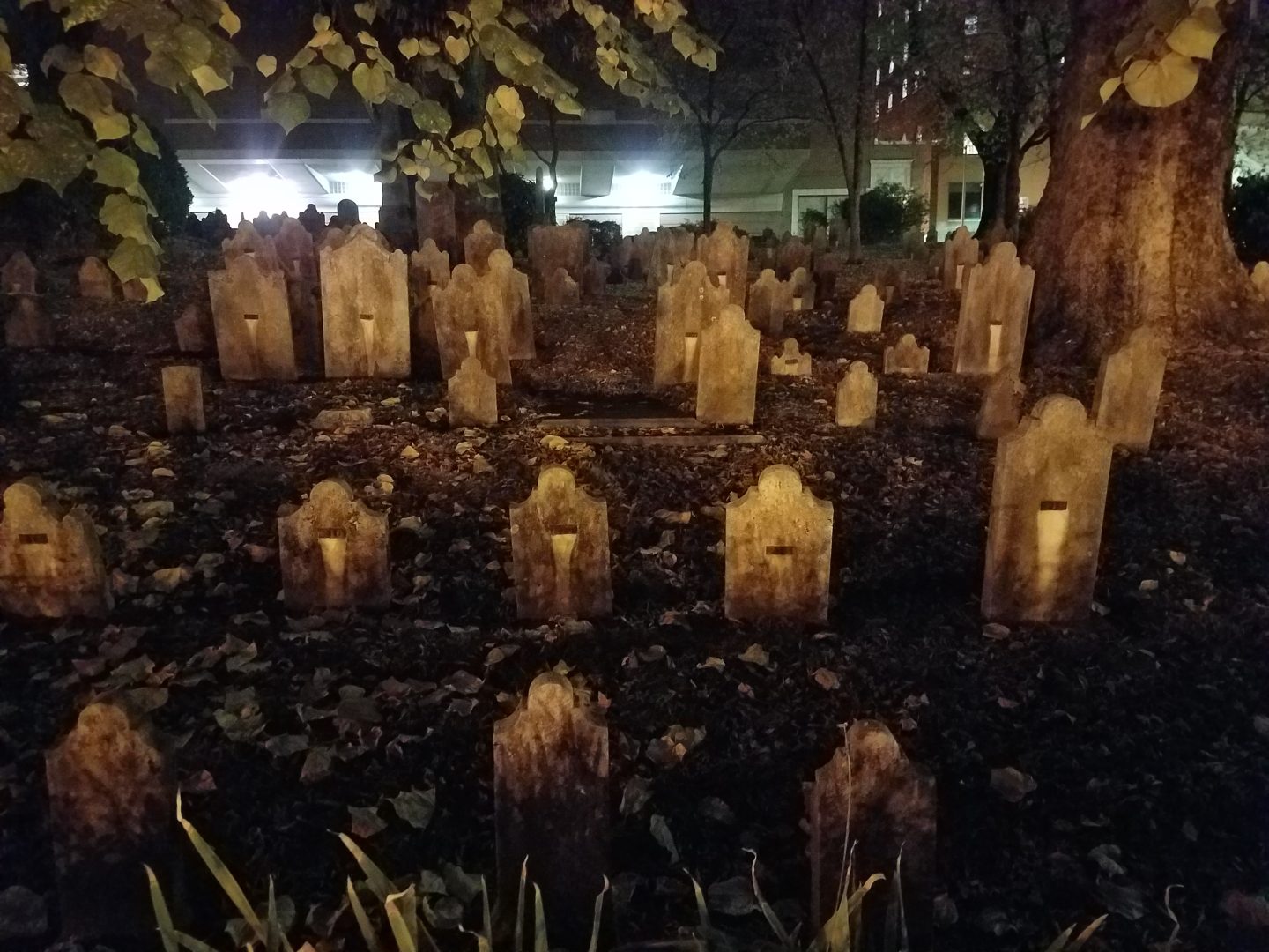 Do you believe in the paranormal…