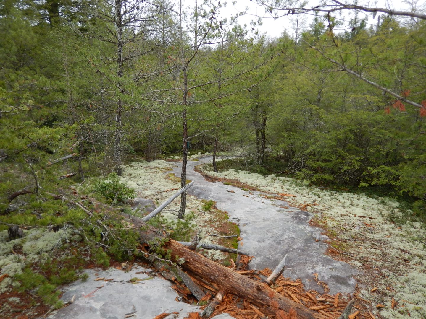 John Muir Trail to Leatherwood Ford, BSFNRRA, Backpack #80