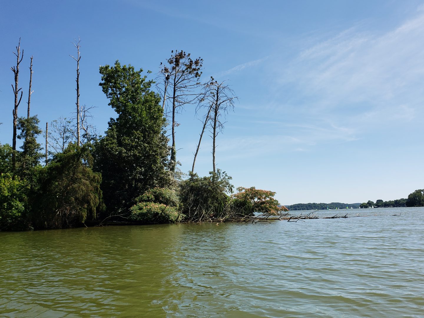 Kayaking with childhood friends….