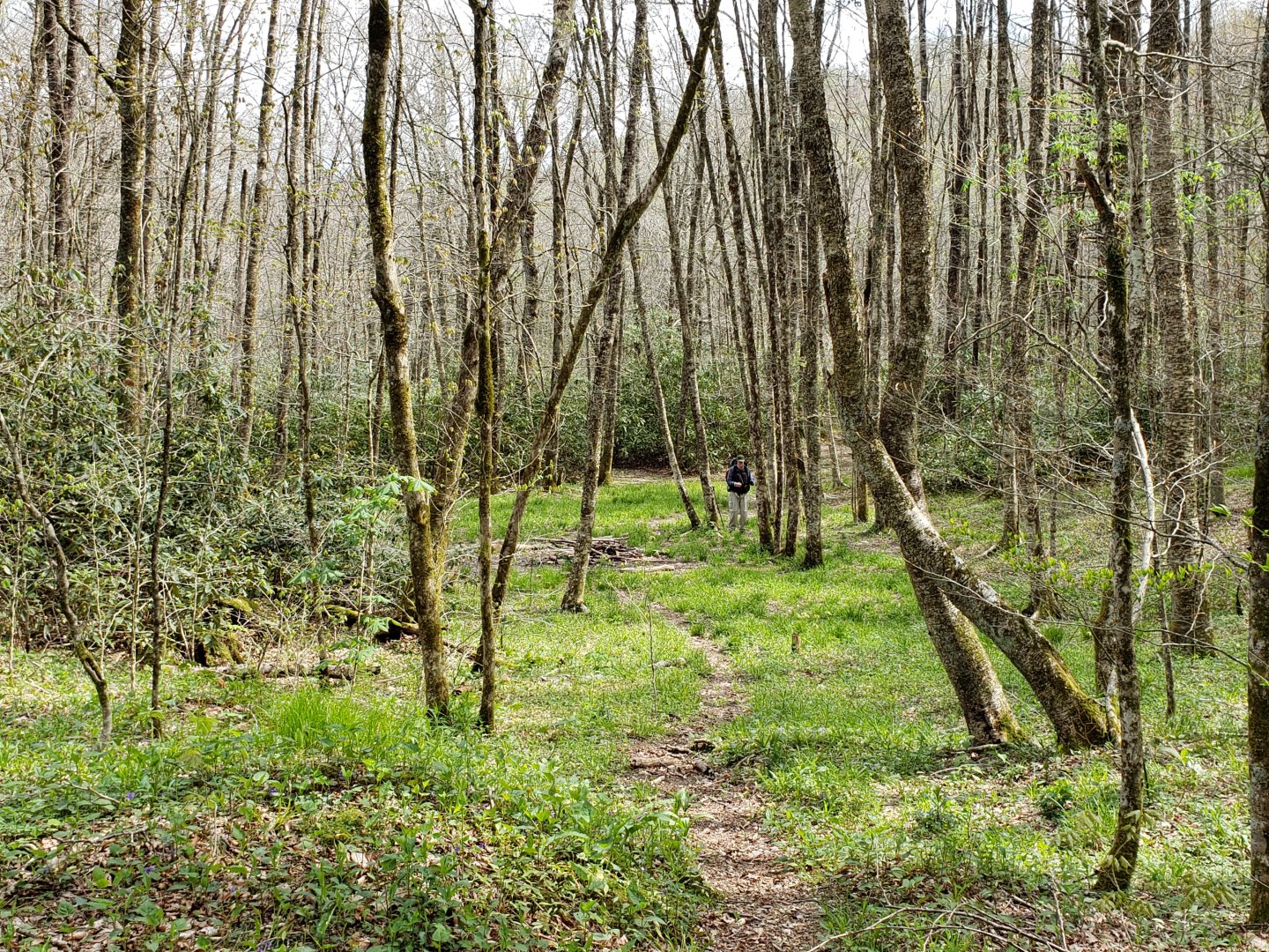 Sleeping Below the Bald-Backpack 85