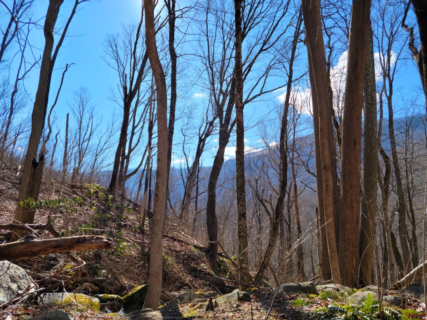Unmapped Sugarlands-GSMNP