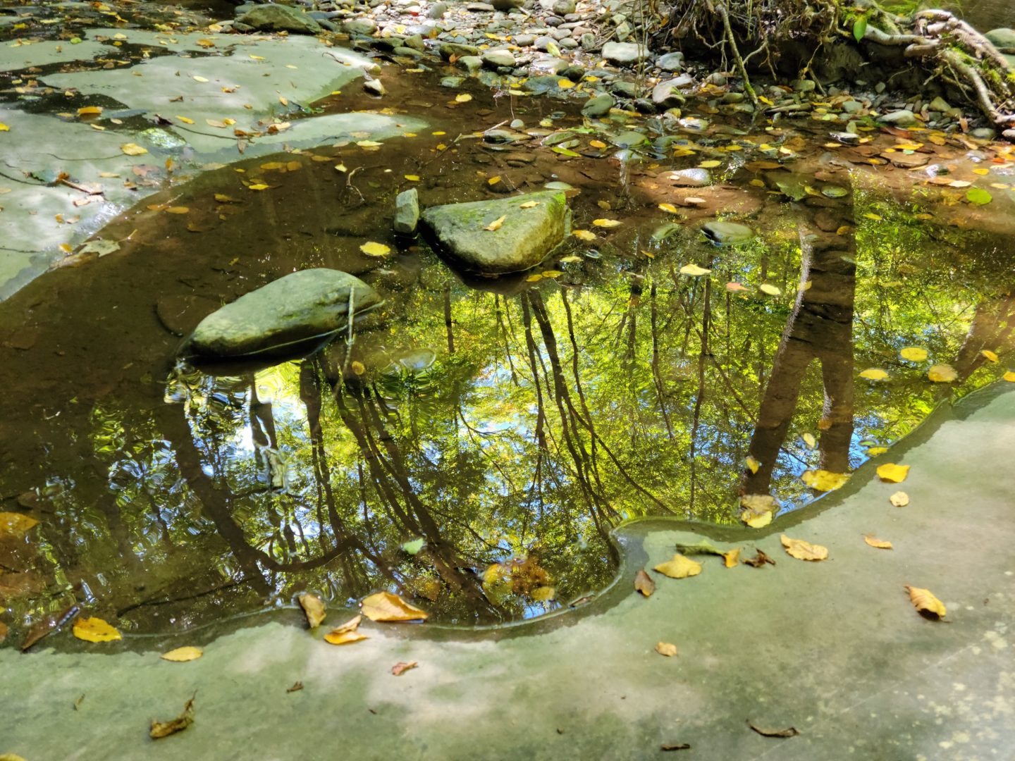 Hiking Middle Prong and Running